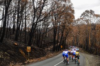 Riders pass through an area badly affected by the bushfires on stage 3 of the 2020 Tour Down Under between Unley and Paracombe