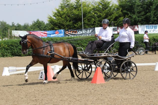 Dad wins a rosette in the cones and Mr J also a first place with me