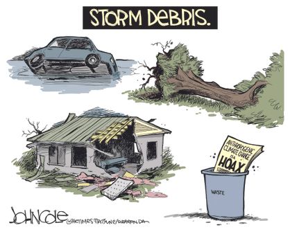 Political cartoon U.S. hurricanes climate change denial