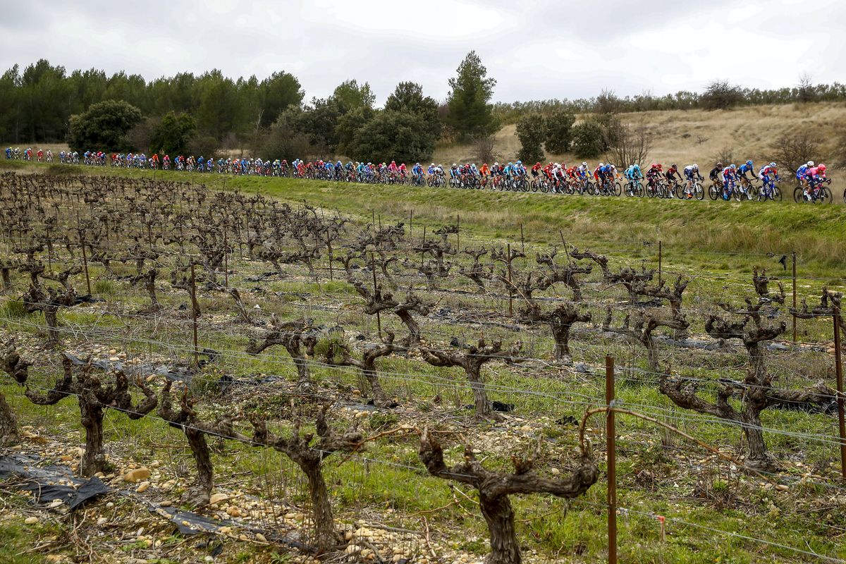 Tour de la Provence 2020 5th Edition 1st stage Chateaurenard SaintesMariesdelaMer 1495 km 13022020 Scenery photo Luca BettiniBettiniPhoto2020