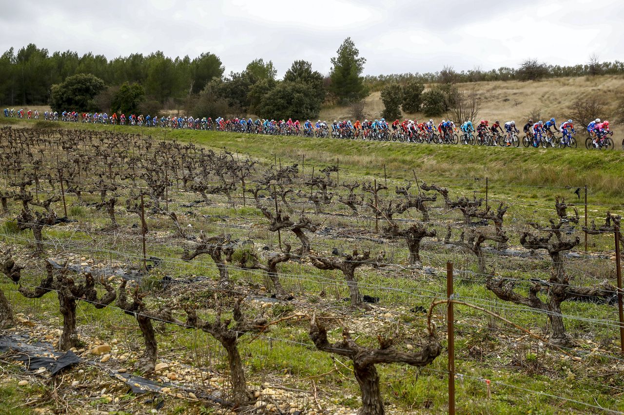 Tour de la Provence 2020 5th Edition 1st stage Chateaurenard SaintesMariesdelaMer 1495 km 13022020 Scenery photo Luca BettiniBettiniPhoto2020