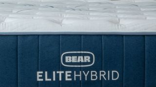 Image shows the Bear Elite Hybrid mattress logo