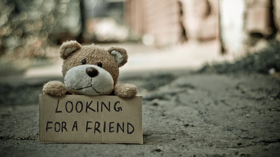 A teddy bear with a sign reading &#039;Looking for a friend&#039;