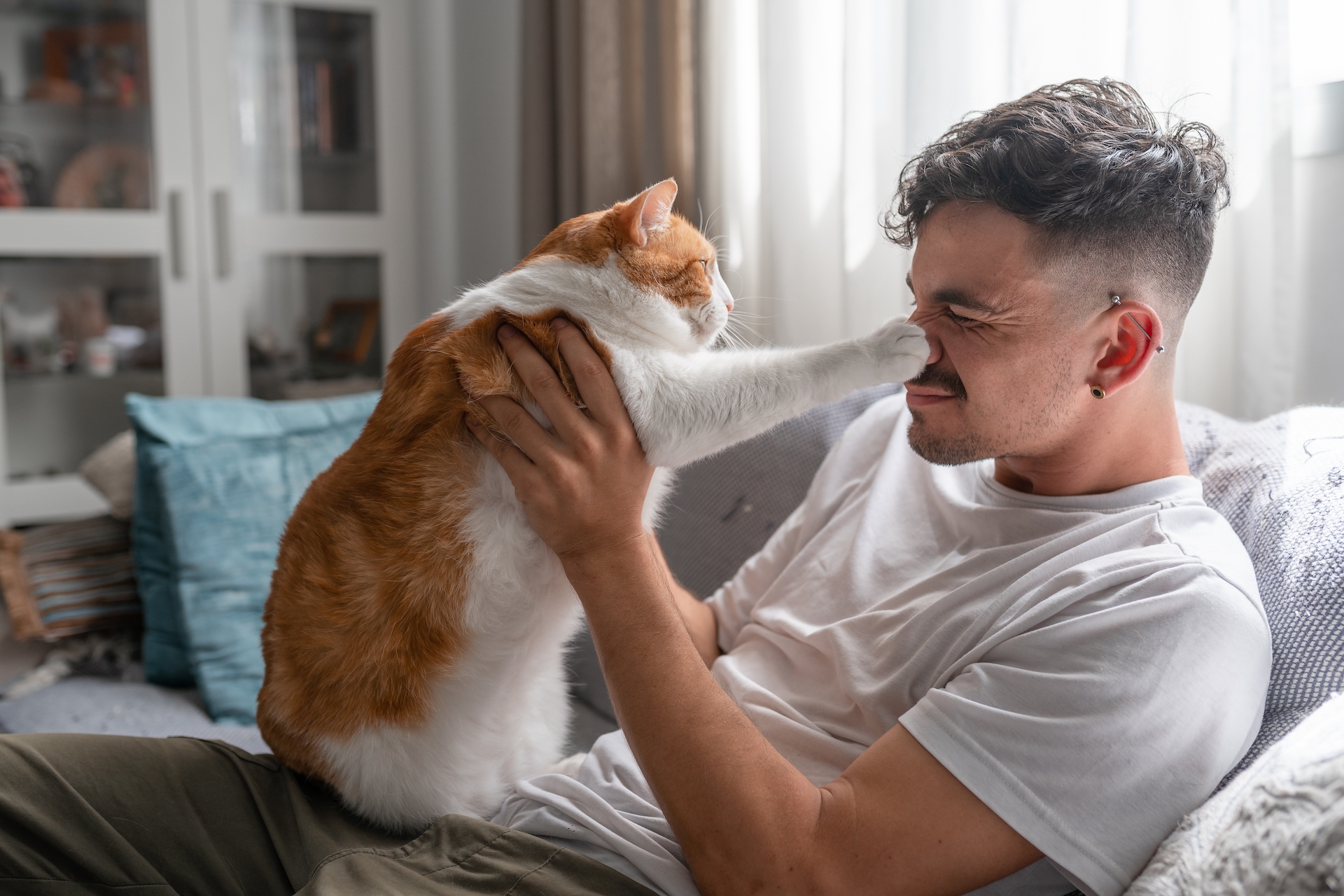 Un hombre juega con su gato naranja.