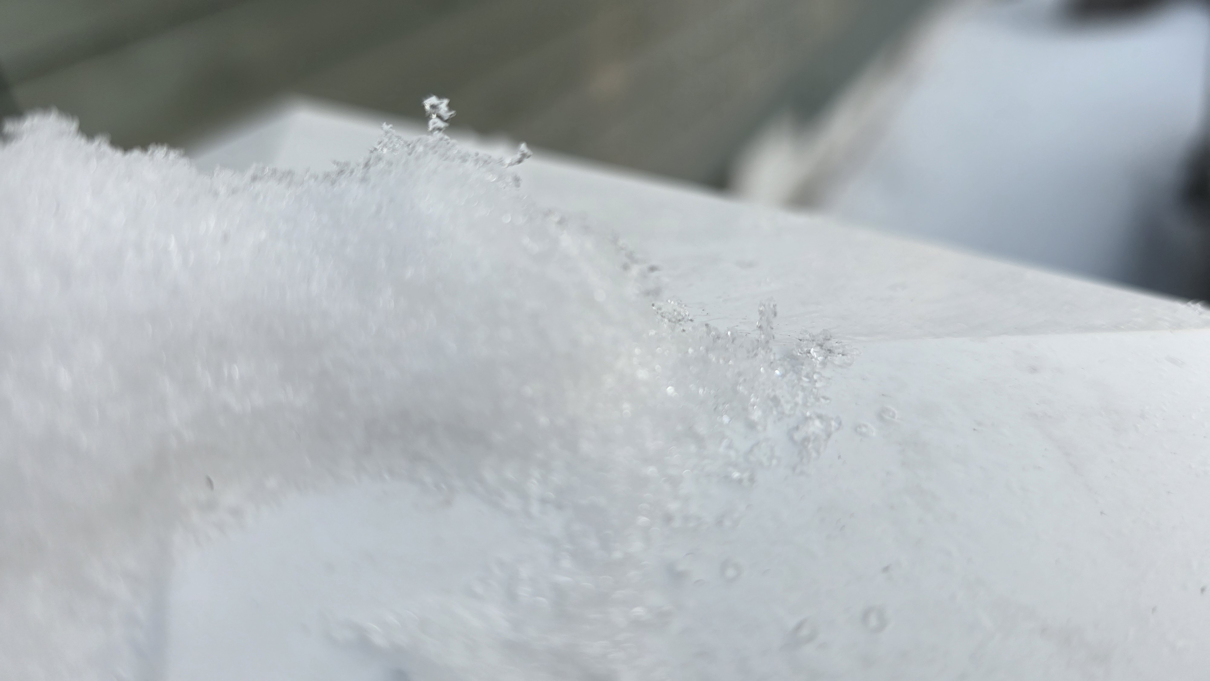 Samsung Galaxy S25 Ultra camera samples