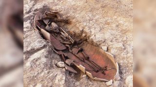 At the ancient necropolis in Corsica, archaeologists found some of the human remains had been buried in amphora pots.