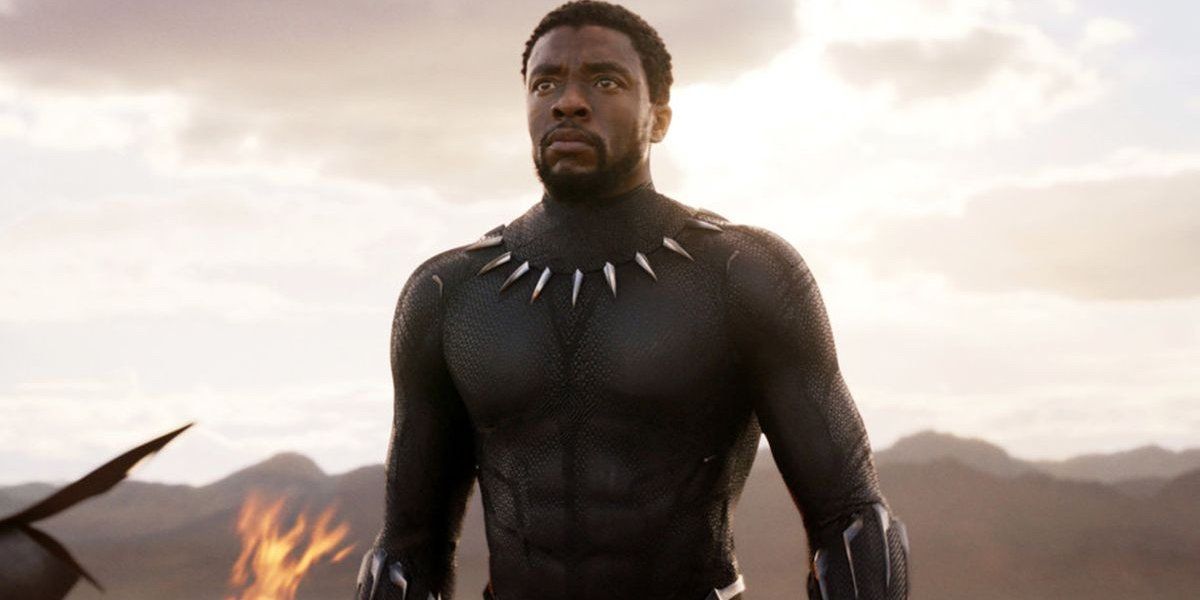 Black Panther T&#039;challa stands triumphant in Wakanda