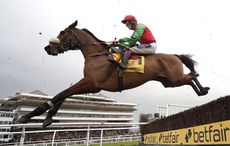 retraining of racehorses cheltenham parade