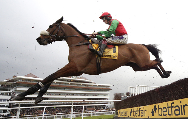 retraining of racehorses cheltenham parade