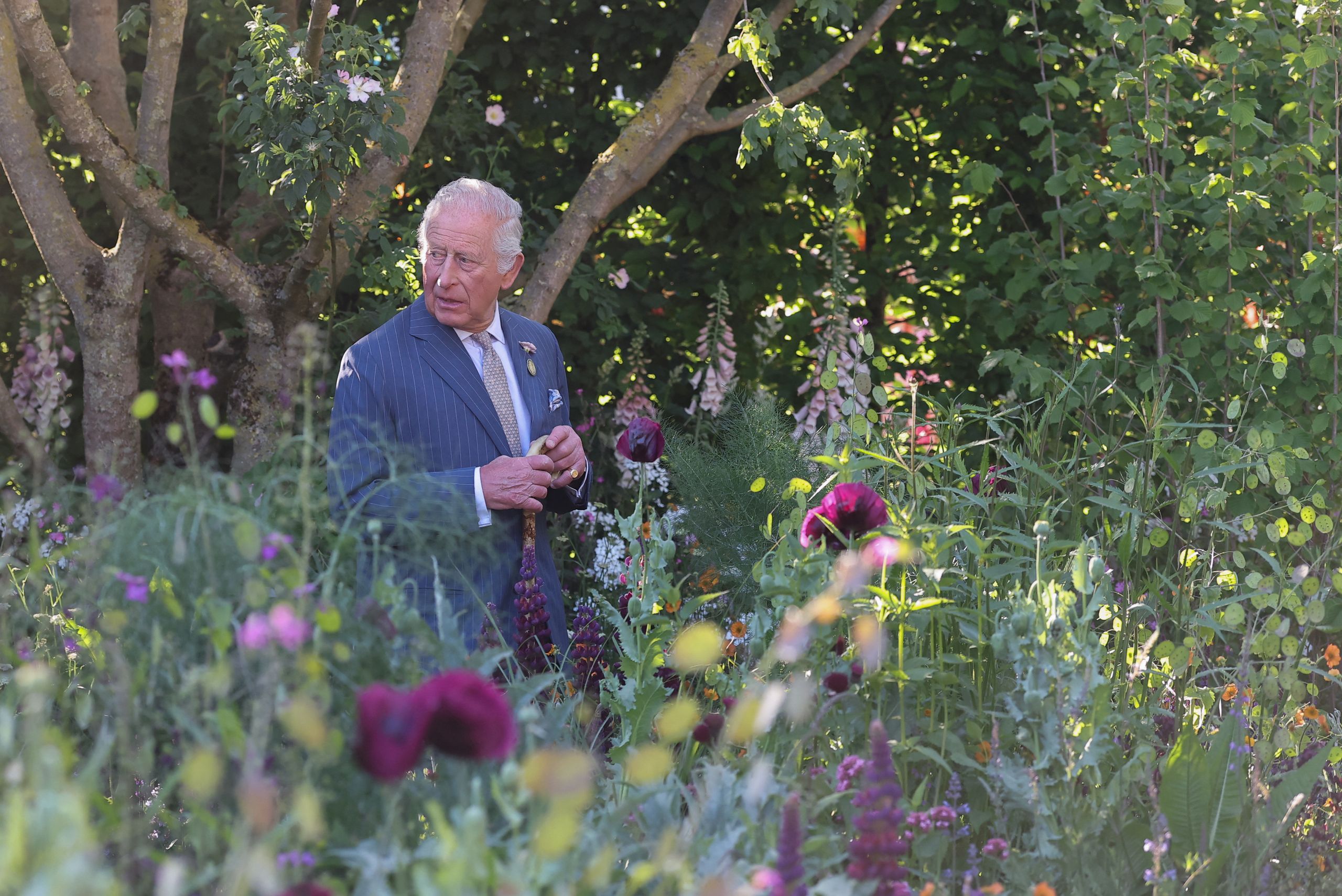 Stephen Linton Rhs RHS to run two new touring shows at Badminton and at the royal estate ...