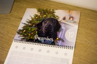 CEWE Photo calendar made for Christmas