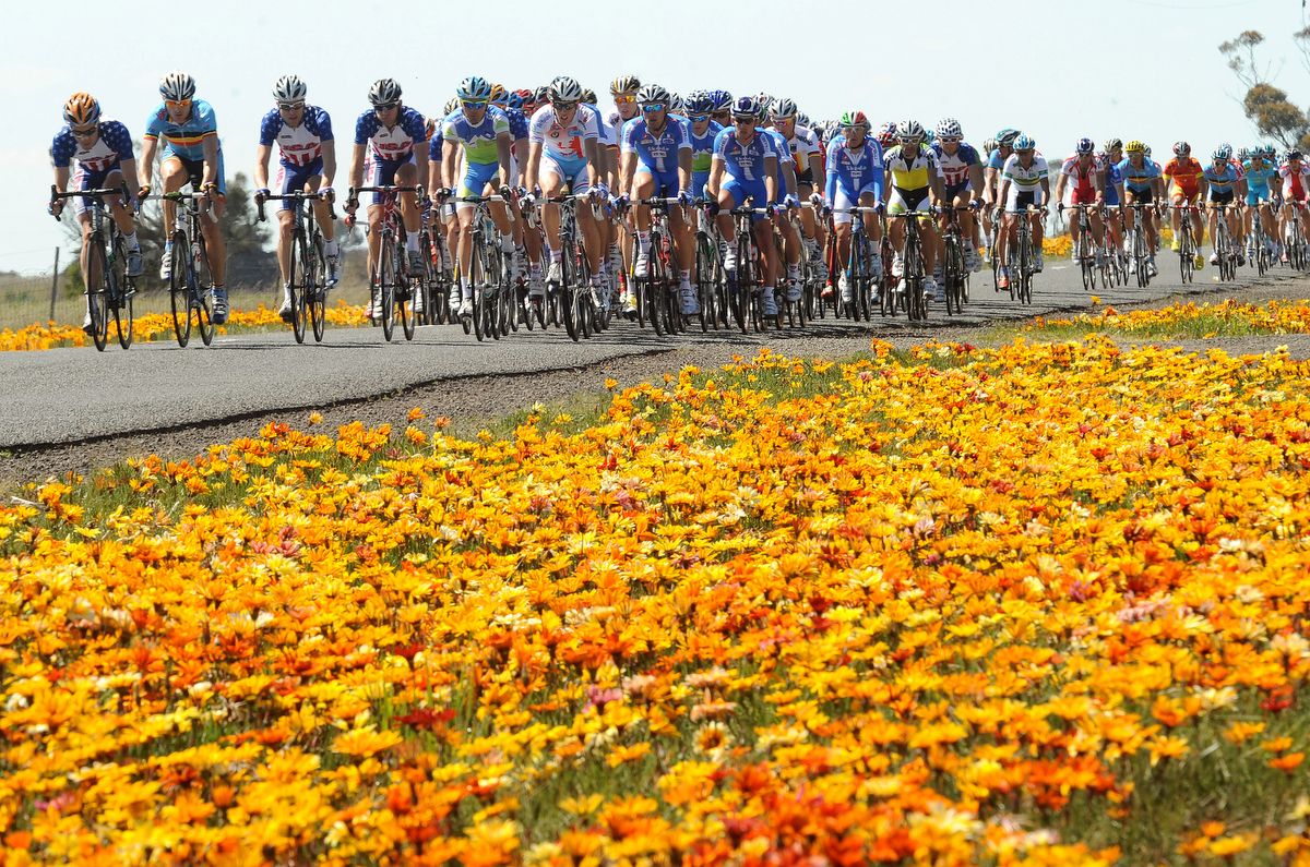 The flowers on the side of the road during the 2010 Worlds