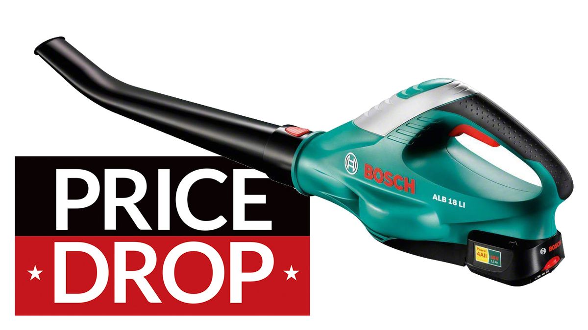 This cheap leaf blower is your pre Black Friday deal of the day T3