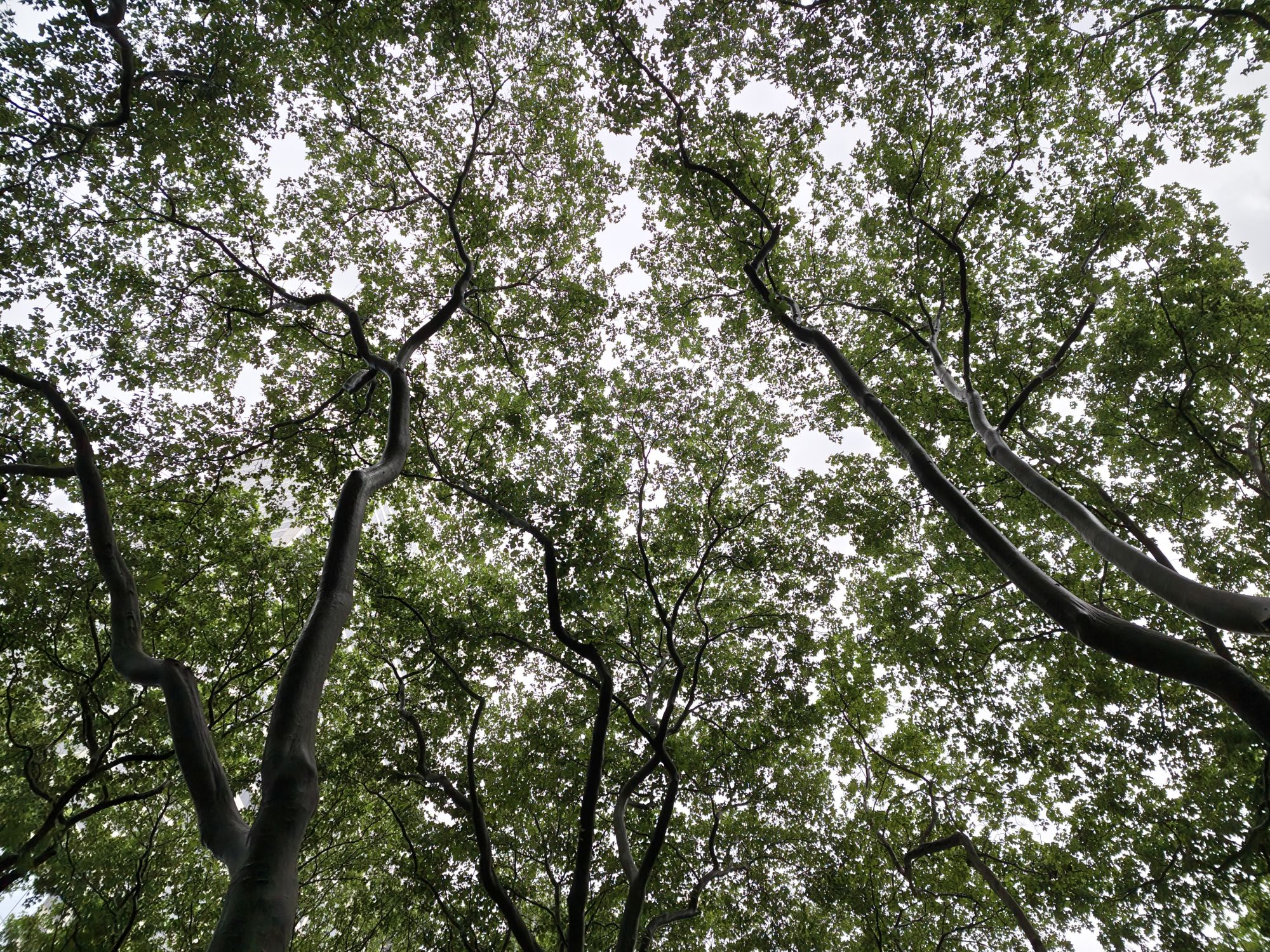 Motorola Razr Ultra 2025 dynamic range sample.