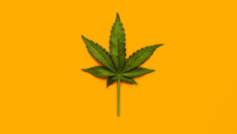 Marijuana Leaf over yellow background