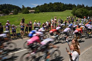 The pack of riders cycles during the 14th stage of the 110th edition of the Tour de France cycling race, 152 km between Annemasse and Morzine Les Portes du Soleil, in the French Alps, on July 15, 2023. (Photo by Marco BERTORELLO / AFP)