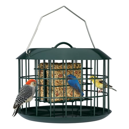 Kingsyard Squirrel Proof Double Suet Feeder, Metal Cage Bird Feeders for Outdoors Hanging, Green