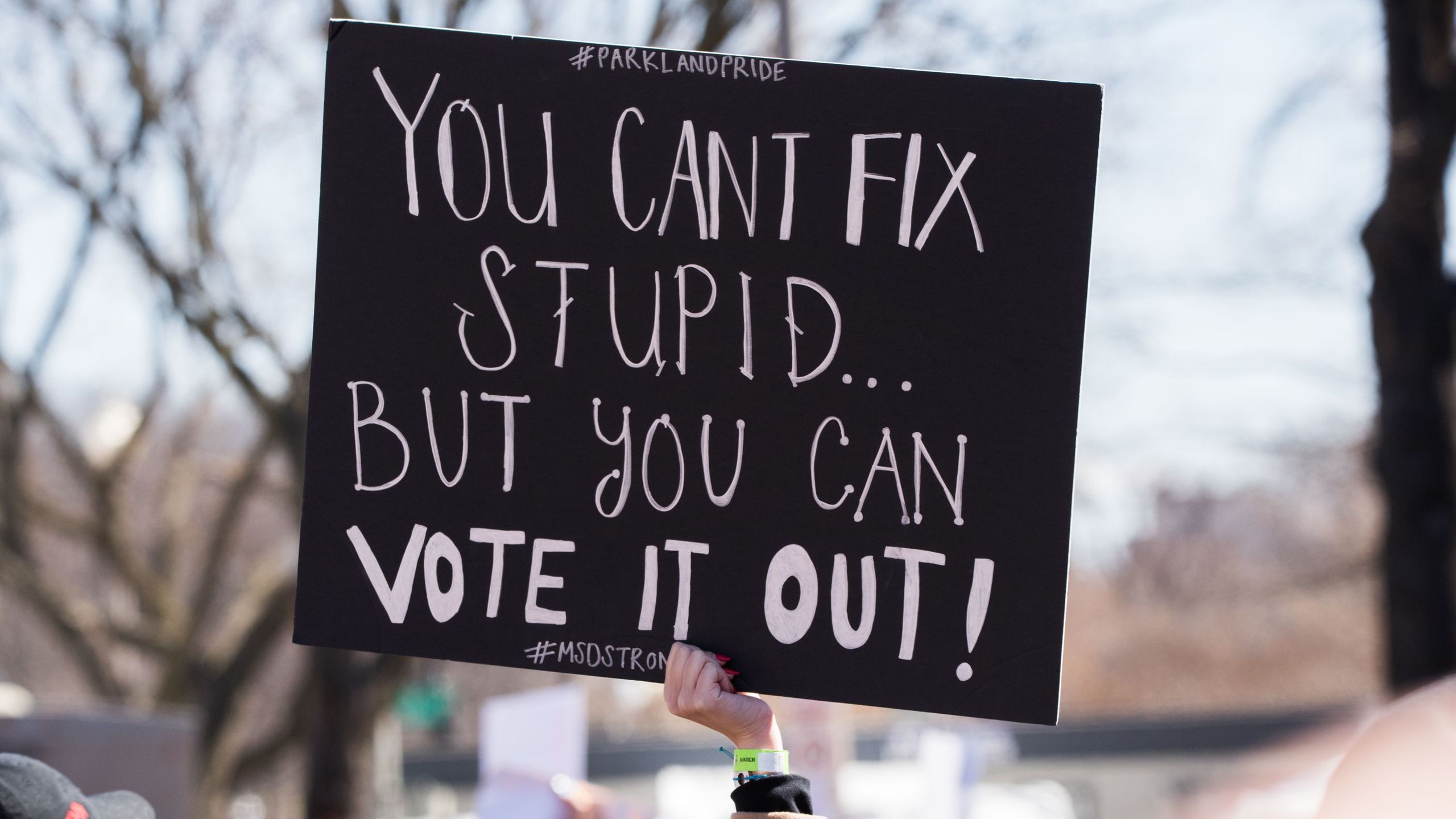 Gun Control and the 2018 Midterm Elections: How to Make a Difference in ...