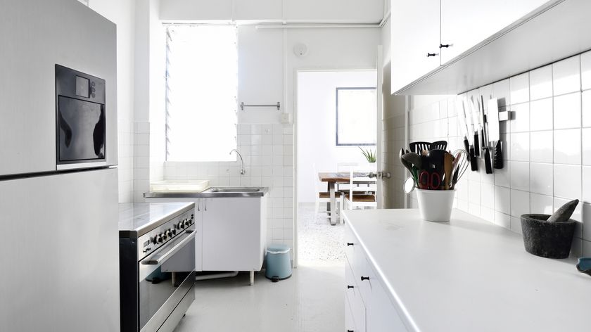 A stylish white kitchen