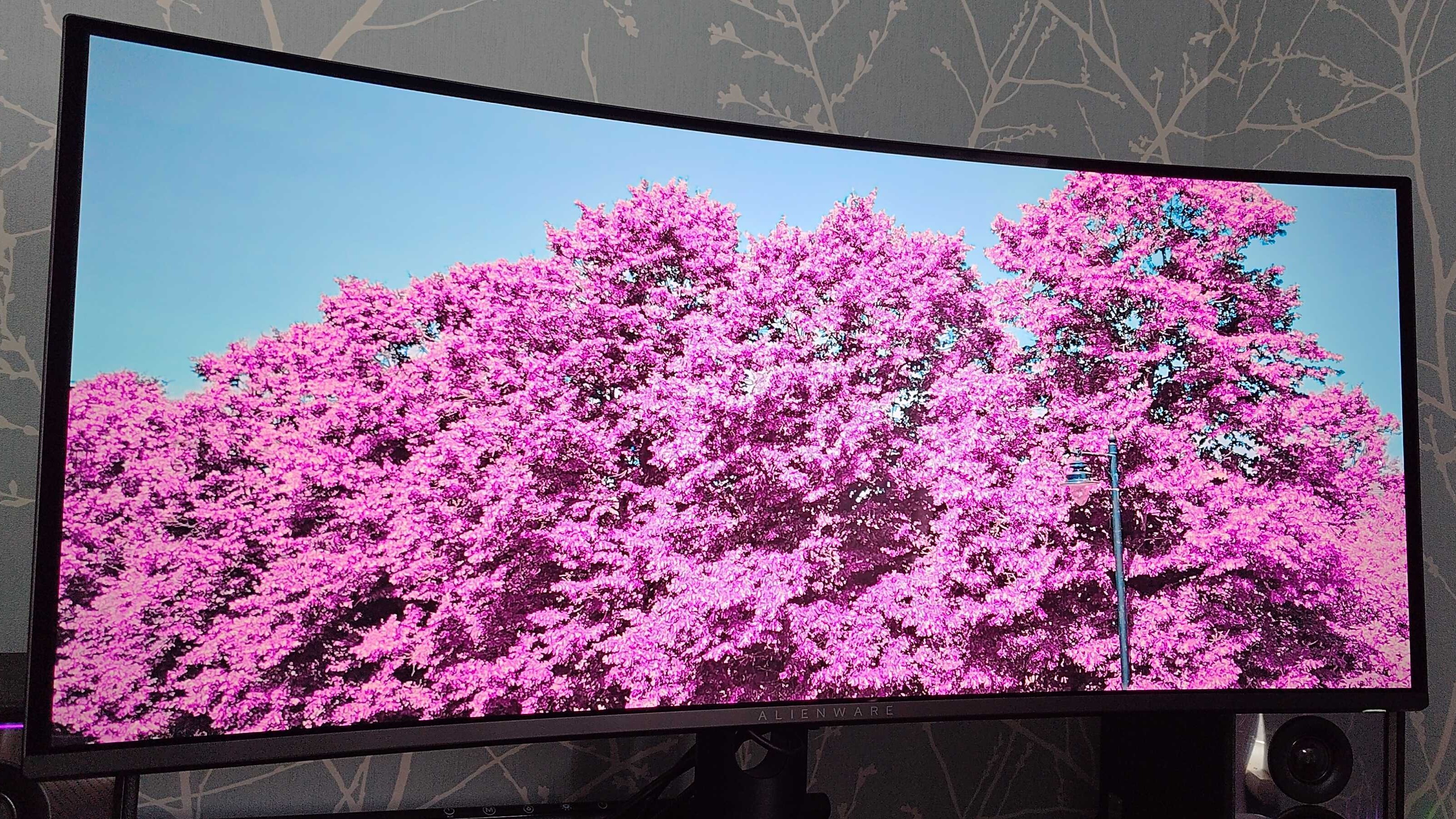 Trees on Alienware AW3426DW