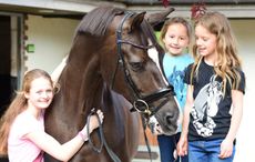 Valegro-T-shirts-final.jpg