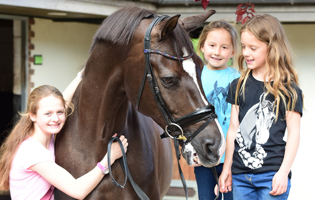 Valegro-T-shirts-final.jpg