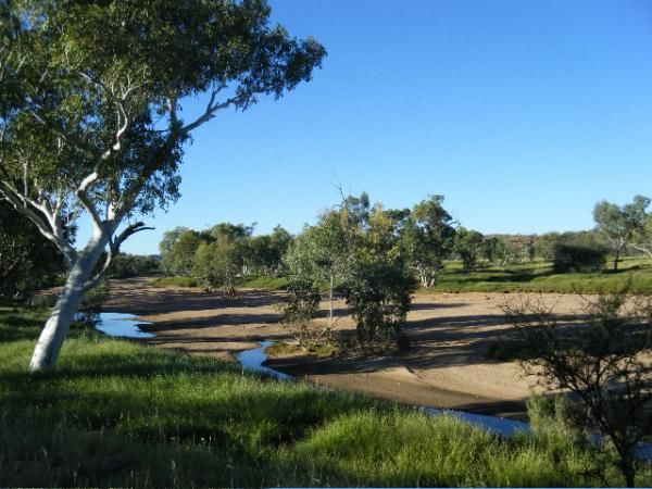 The Todd "River". Even with flooding rains a month ago, this is the state of the main river in the town of Alice Springs.