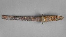 Image of the worn ancient sword found.