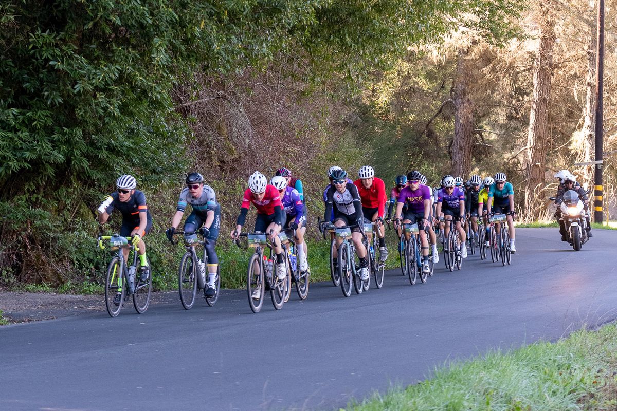 A mini-peloton out on the road