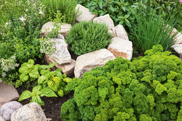 Rock garden ideas 20 ways to create a modern rockery Homes & Gardens