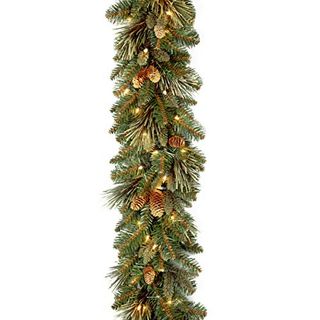 National Tree Company Pre-Lit Artificial Christmas Garland, Green, Carolina Pine, White Lights, Decorated With Pine Cones, Plug In, Christmas Collection, 9 Feet