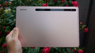 Holding the Samsung Galaxy Tab S8+ in front of a rose bush