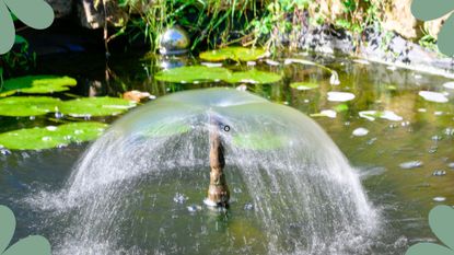 picture of a waterfall feature in a garden pond to support expert advice on how to clean a pond