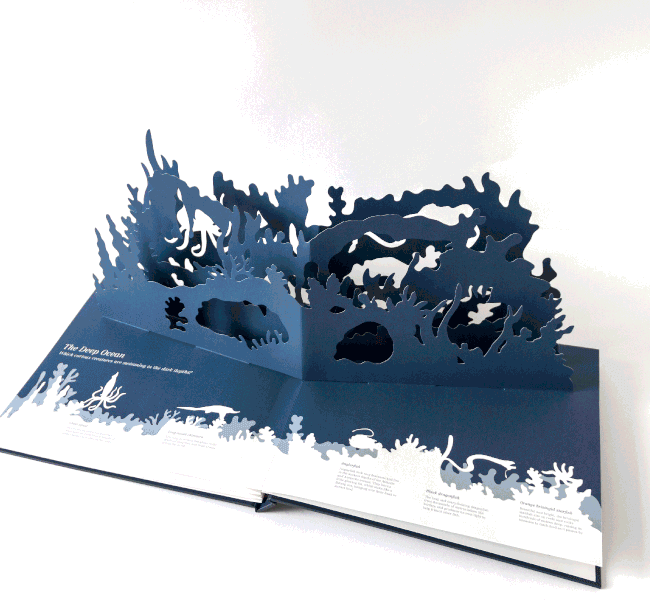 Paper art: Midnight creatures