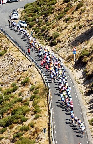Riding hard in the peloton