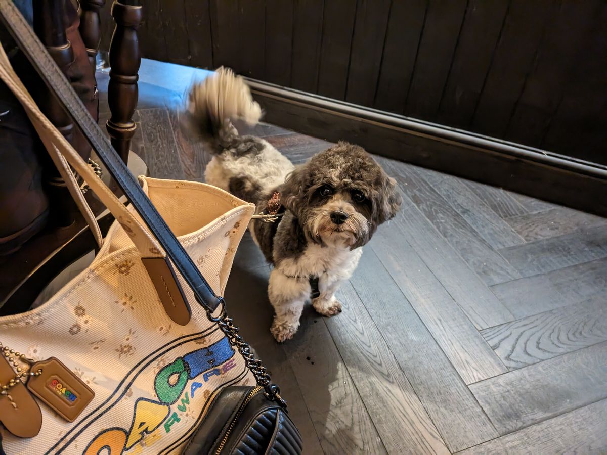 A photo captured on the Google Pixel Fold