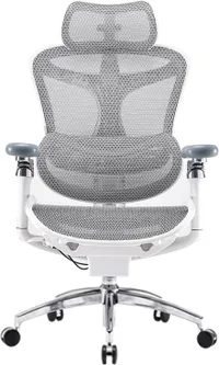 Sihoo Doro C300 Pro Sihoo Doro C300 Pro