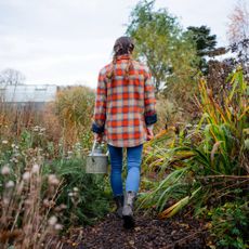 The back of a woman in flannel walking through a garden in fall
