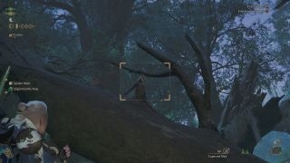 Spotting a Dapperwing hanging out on a tree in Monster Hunter.