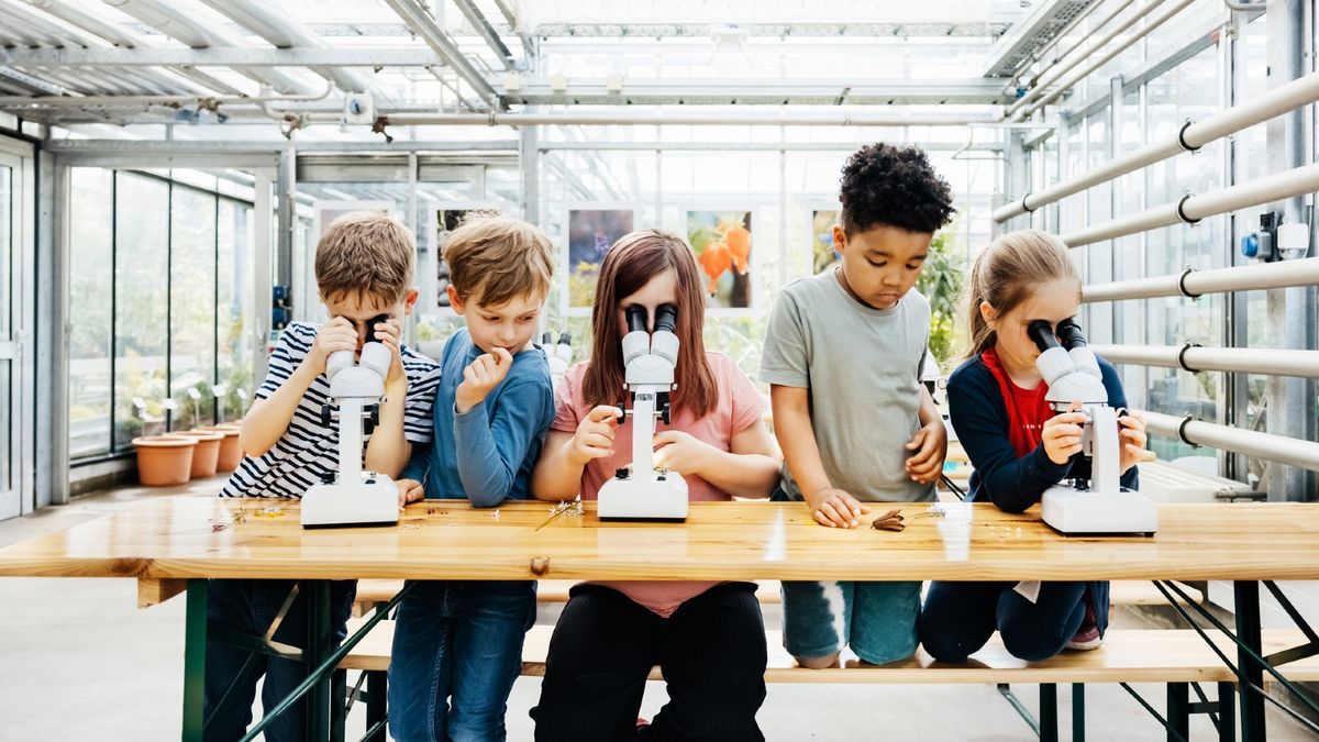 School children look through a microscope