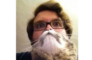 Cat beards