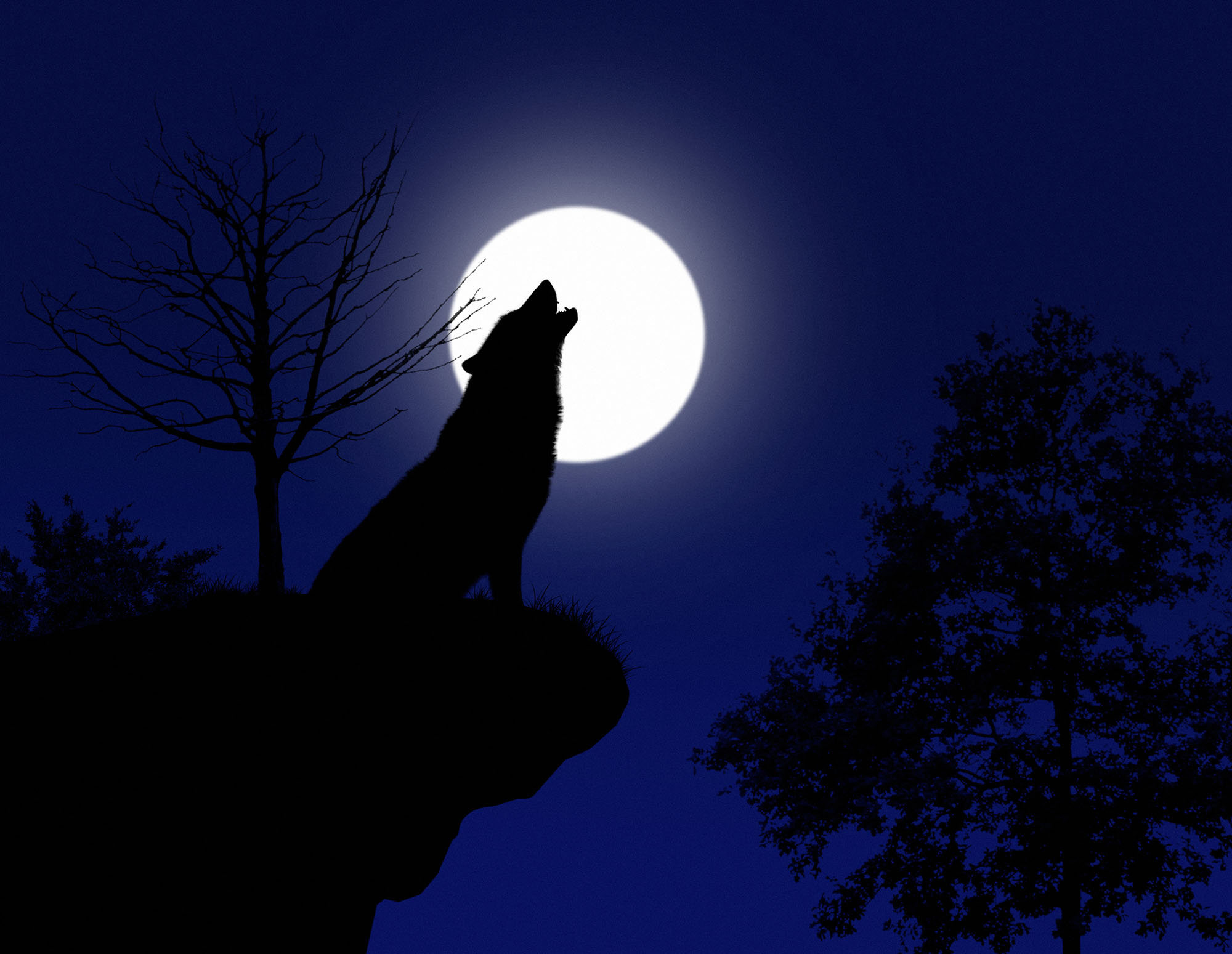 Howling meaning in hindi