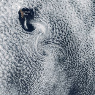 On May 25, 2017, the Suomi NPP satellite captured this image of a swirling cloud phenomenon above Guadalupe Island off the coast of Baja California, Mexico.