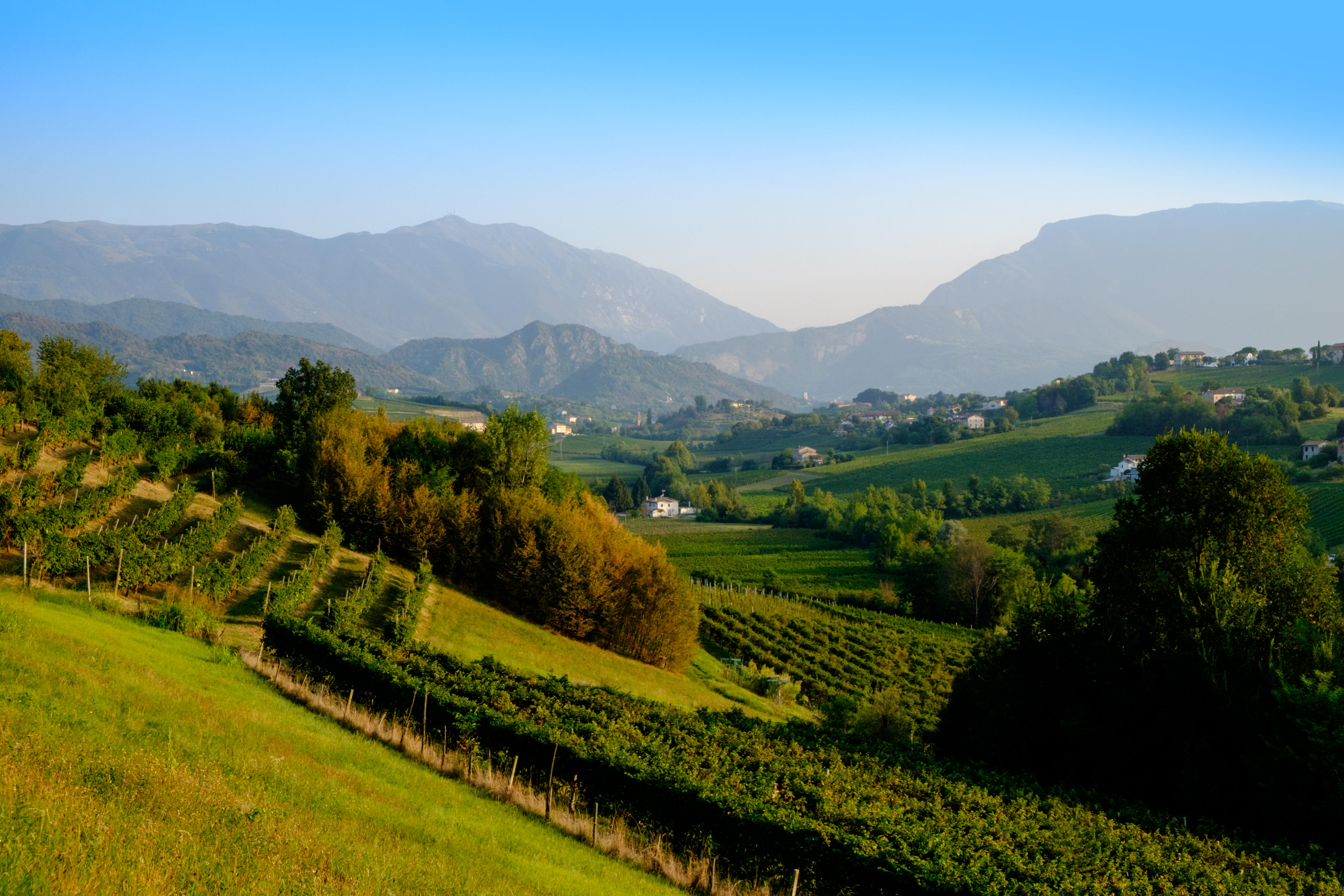 italy wine holidays