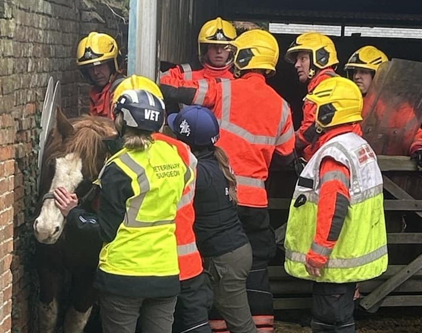 rescue1.jpg