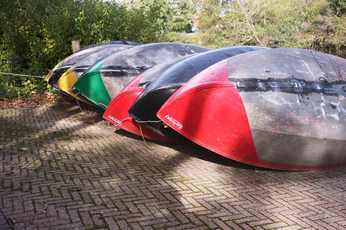Rowing boats lined up on land