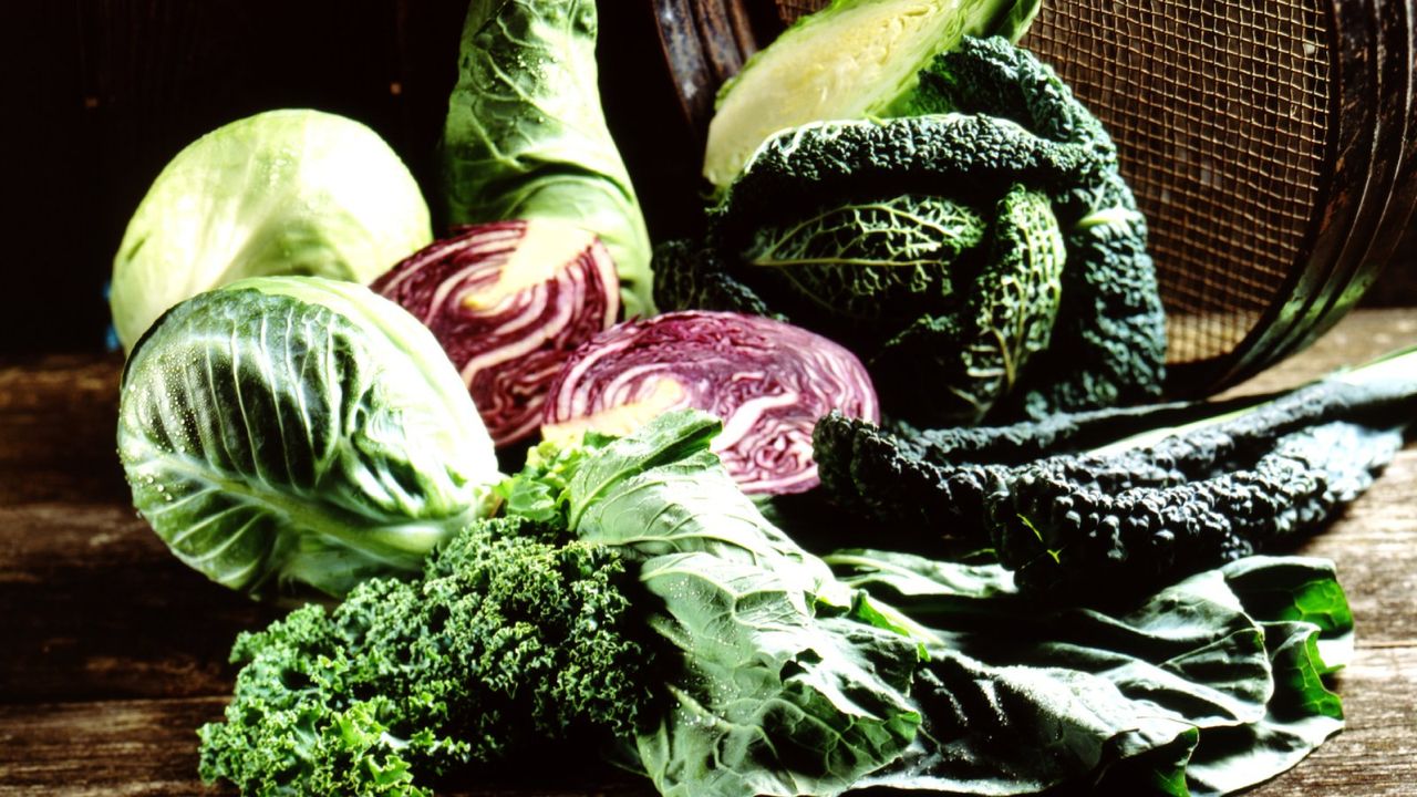 Assorted cabbages in a pile on a table