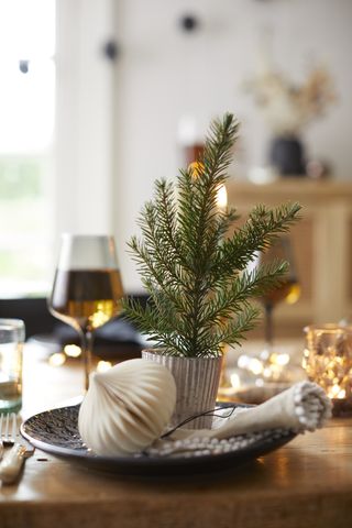Table laid for dinner with miniature Christmas trees, napkin and paper Christmas decoration.