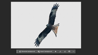 Screenshot of the background removal tool in Adobe Photoshop