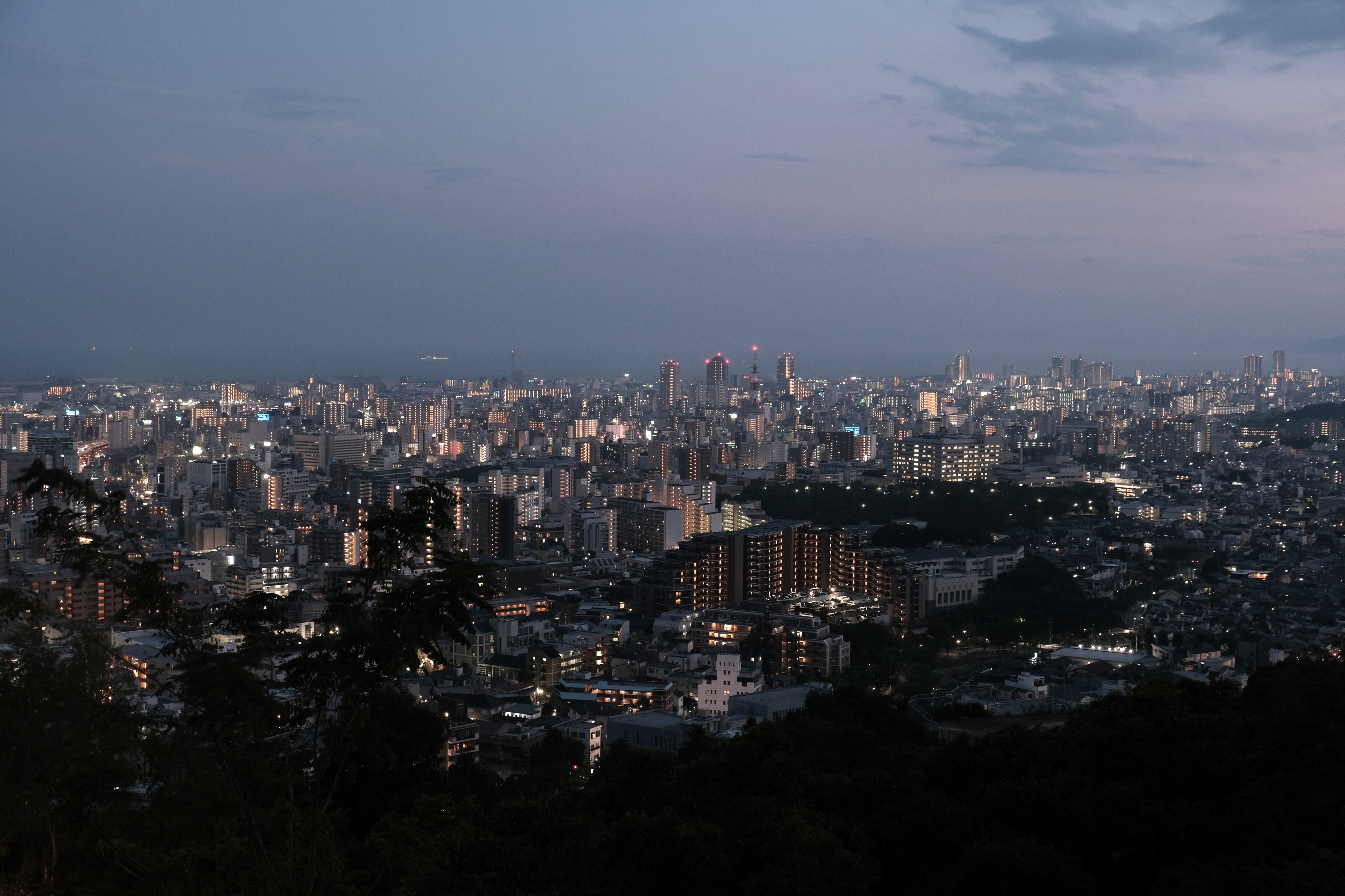 A nocturnal view of a dense city with a pink-hued sky.